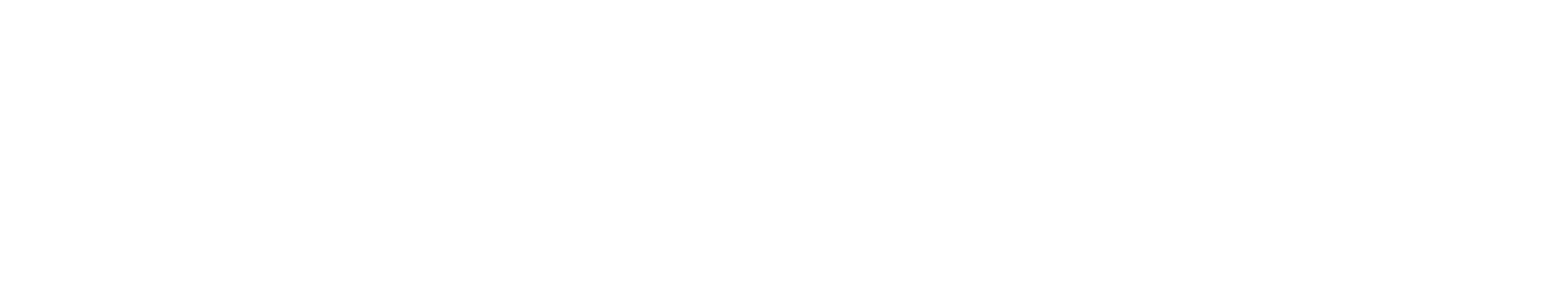 PayNet Logo White Letters